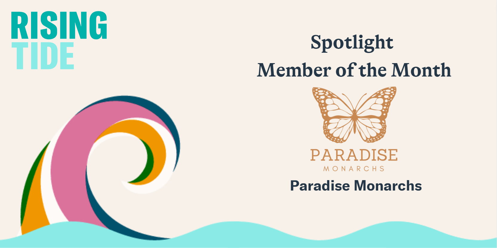 Spotlight Member of the Month: Paradise Monarchs